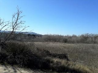 Finca rústica a Tudela de Duero. Parcela rustica en tudela de duero