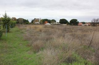 Terreny residencial  Quinojal. Venta de terreno en tudela de duero