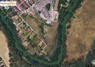 Finca rústica a Tudela de Duero. Se vende terrenos rusticos en tudela de duero