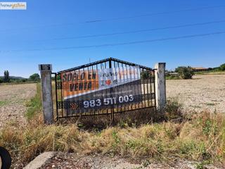 Finca rústica  Polígono 10 paraje 157 palo. En venta terreno con naves en tudela de duero valladolid