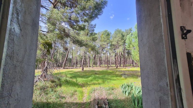 Foto d58666b9-361e-475f-8574-d0307989aa4d. Casa amb aparcament piscina a Mojados