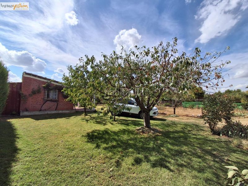 Foto 0c0b68d7-225c-492f-94a9-71fc0f447aa6. Finca rústica a Tudela de Duero