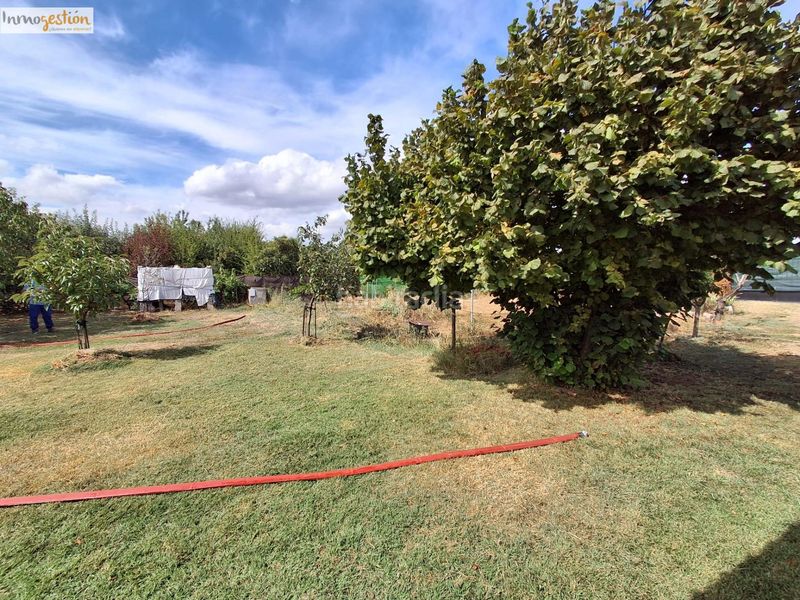 Foto 17f0ed8d-ee39-48ad-b747-36851c3e6261. Finca rústica a Tudela de Duero