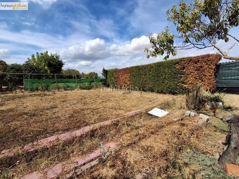 Foto 83ba1c80-bf2f-4768-8bfb-4f85ad09e37e. Finca rústica a Tudela de Duero