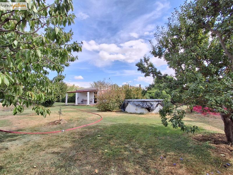 Foto a734d03f-0c24-43b4-9618-a411681af8e7. Finca rústica a Tudela de Duero