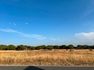 Propriété à Hoyo de Pinares (El). Terreno cultivo de pistacho en el fresne hoyo de pinares