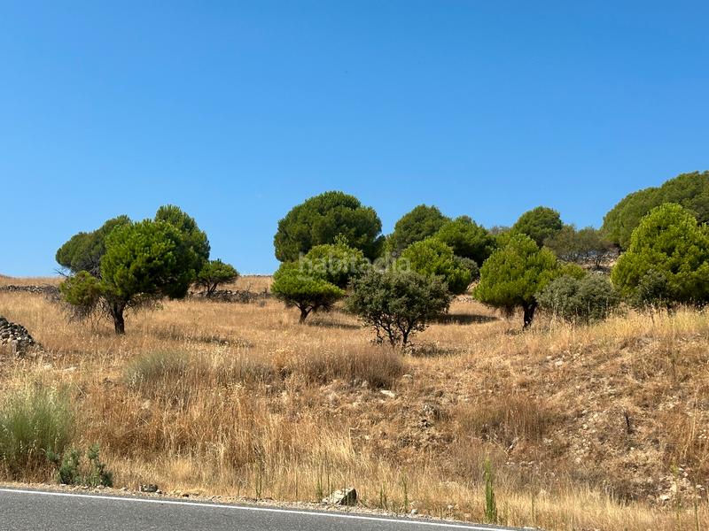 Foto a0e07bb0-4f97-4046-b294-3f27bf1a6912. Finca rústica a Hoyo de Pinares (El)