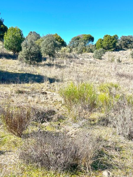 Foto a69ea491-a66f-40d0-8eed-1a5e12613b64. Finca rústica a n/a a Cebreros