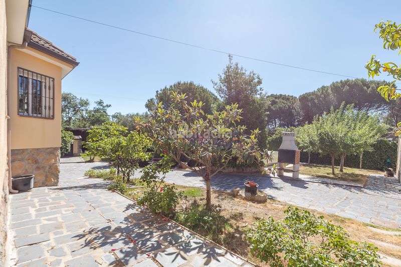 Foto f3d85859-a8d3-4e0f-be8b-6dba9df9175b. Xalet a Guadarrama