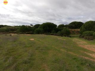 Rural plot in Lepe. Finca en lepe