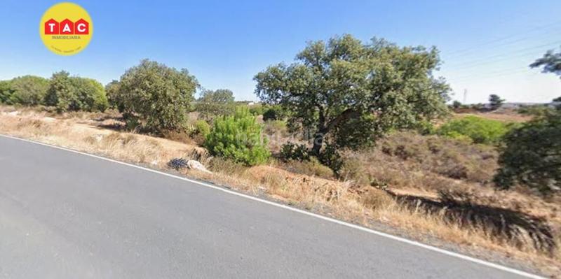 Foto 7739bf52-6fd7-4479-bf13-6572126073b0. Finca rústica a Lepe