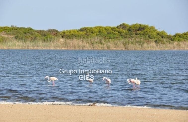 Foto c6128f4c-6615-4b34-850d-7104b8f29dc2. Apartment in avenida gola del puchol 17 in El Saler Valencia