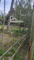 Propriété  Alzina. Se vende solar urbano en crestatx
