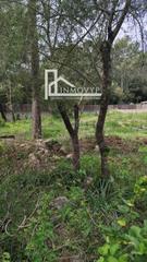 Finca rústica  Alzina. Se vende solar urbano en crestatx