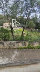 Finca rústica  Alzina. Se vende solar urbano en crestatx