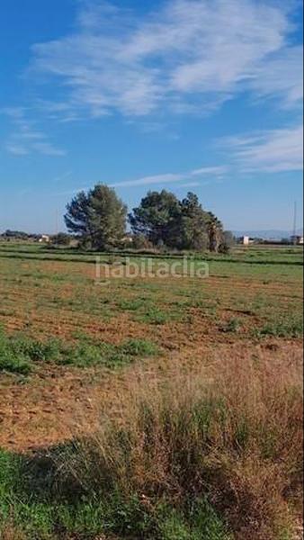 Foto 19e2e741-e631-42f1-85c7-9229bfb58b5c. Finca rústica amplia parcela con luz de gesa y pozo propio en Sa Pobla