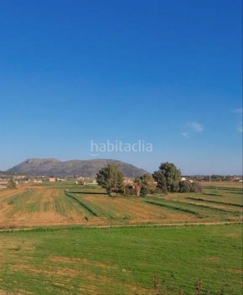 Foto 1fd4ca45-aa8a-43fa-b923-3674a75242b6. Finca rústica amplia parcela con luz de gesa y pozo propio en Sa Pobla