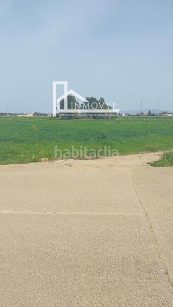 Foto 2231699f-6c8d-41a7-a2f7-f30a669659ea. Finca rústica amplia parcela con luz de gesa y pozo propio en Sa Pobla