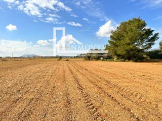 Fondo rustico  12. Amplia parcela con luz de gesa y pozo propio