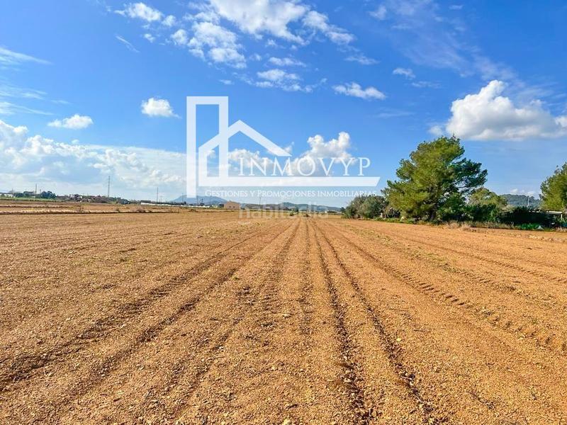 Foto 8ef3bdfb-ab13-491c-9de9-b92642cd75f8. Finca rústica amplia parcela con luz de gesa y pozo propio en Sa Pobla