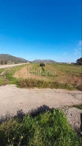 Foto 9834776d-1e00-4aff-a930-18496cd72bea. Finca rústica amplia parcela con luz de gesa y pozo propio en Sa Pobla