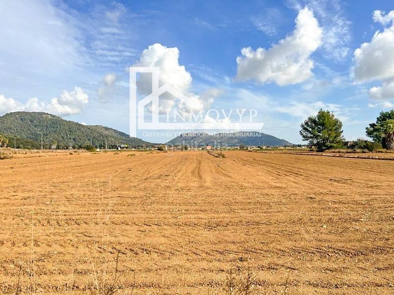 Foto dafaf28e-2278-4754-a8d3-6b4cd0aeb660. Finca rústica amplia parcela con luz de gesa y pozo propio en Sa Pobla