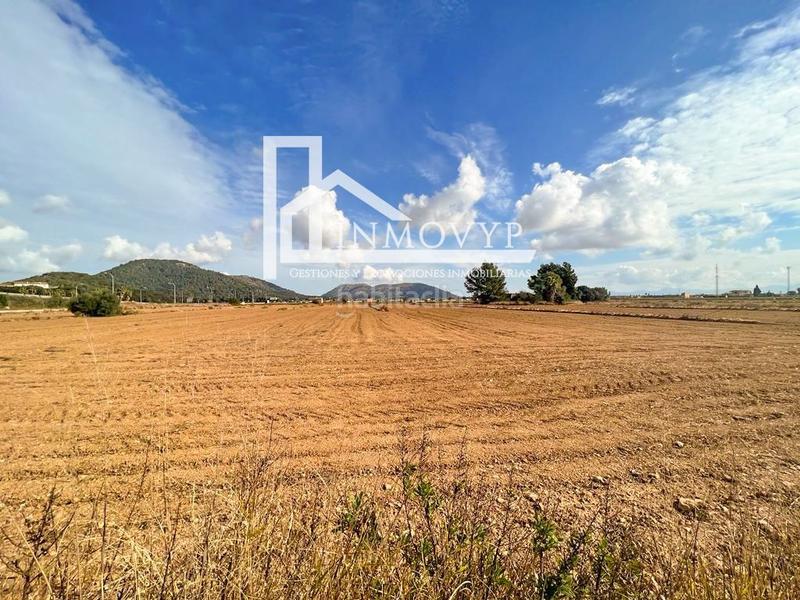 Foto e4d166b4-7f13-4f56-a57a-727c403f1f55. Finca rústica amplia parcela con luz de gesa y pozo propio en Sa Pobla