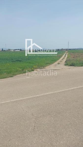 Foto e734a76e-051d-49d3-9d97-4ad3297261ef. Finca rústica amplia parcela con luz de gesa y pozo propio en Sa Pobla