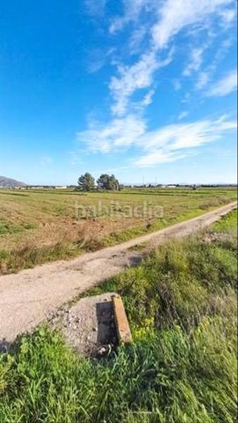Foto fde22a97-1c72-4199-b56e-aff694495f5c. Finca rústica amplia parcela con luz de gesa y pozo propio en Sa Pobla