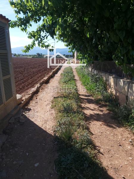Foto 48b81e0b-d65f-4b20-87bf-6d5e8ed375bc. Terreno residencial parcela rustica edificable muy cerca del mar en Muro