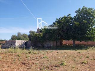 Terreny residencial a Muro. Parcela rustica edificable muy cerca del mar