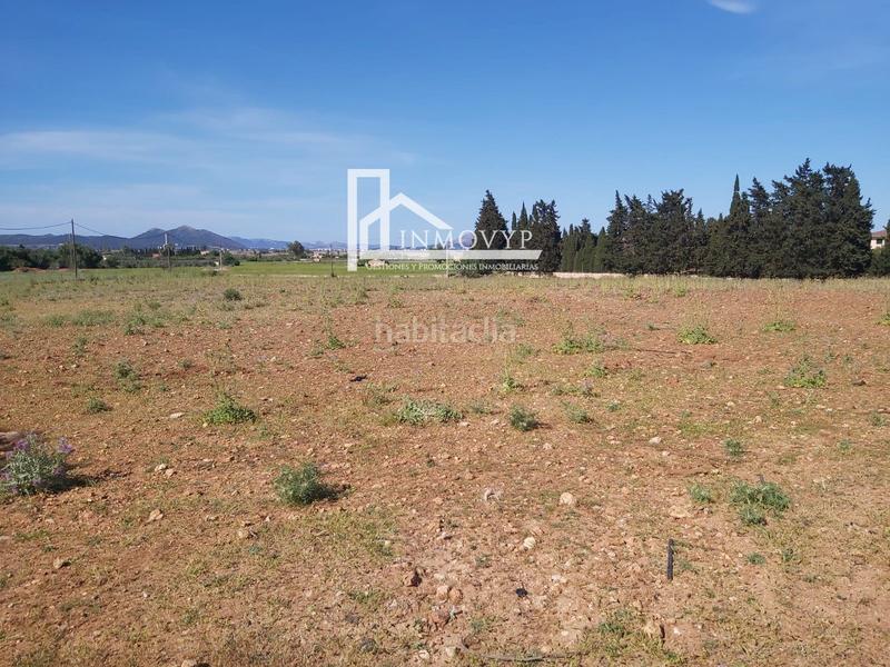 Foto 73d727c5-0a0f-471f-8576-e02218fe019a. Terreno residencial parcela rustica edificable muy cerca del mar en Muro