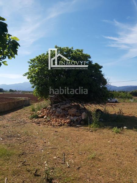 Foto 840cf3d6-c2e1-4beb-a0ea-cf138ab620a4. Terreno residencial parcela rustica edificable muy cerca del mar en Muro