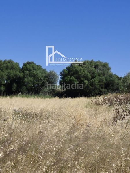 Foto bfe0fd67-6845-4092-9d2a-ab94fbaa8093. Masia a Sa Pobla