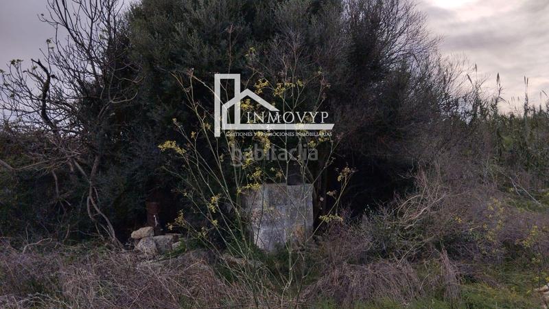 Foto d1ea0d6f-0bb4-4f7d-acbd-bbe775e816a3. Mas dans Sa Pobla