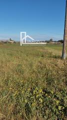 Rural plot  N/a. Terreno en carretera alcúdia no edificable