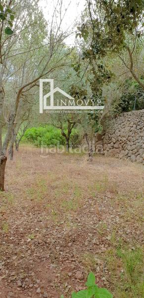 Foto 3ab382b0-4a76-4d68-96c6-065a38b4c4e8. Propriété dans Esporles