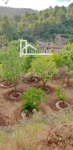 Foto d1b70e28-8e82-4244-8838-116bfc646114. Propriété dans Esporles