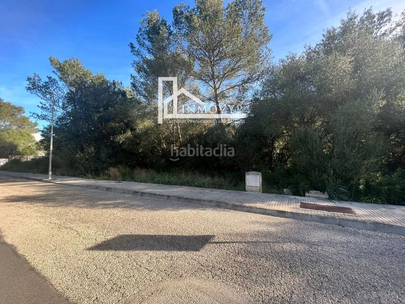 Foto 05b22653-5bd8-40e0-8af8-94cd4944f866. Terreno residenziale in Sa Pobla