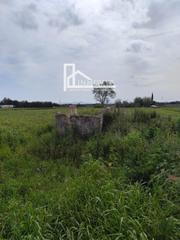 Finca rústica  Sa pobla acudía. Terreno con agua en carretera de sa pobla alcúdia
