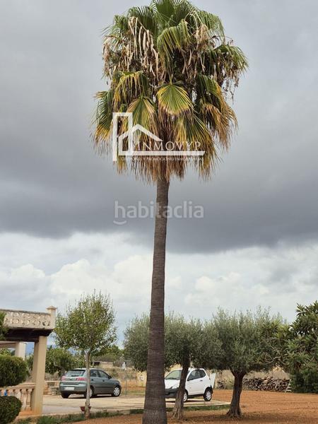 Foto 0a1e4dbc-bd62-4030-b79f-b9c1eb413cce. Masia amb calefacció a Binissalem