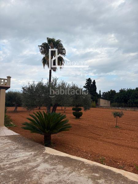 Foto 5c8f218c-e6af-446c-8969-6b0c40407c8b. Masia amb calefacció a Binissalem