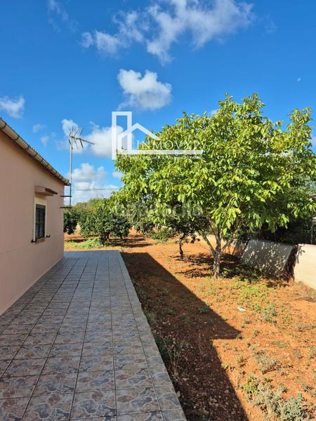 Foto b52e1623-1a1c-465d-b729-9def44bd07c5. Masia amb calefacció a Binissalem