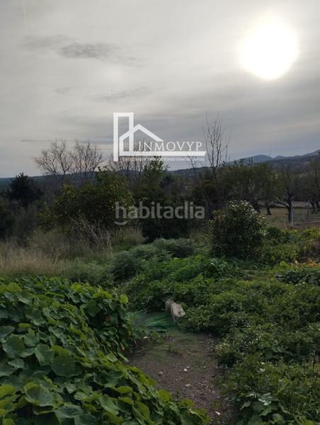 Foto 08a2ca09-a5c6-43de-919d-55e28e2b6a68. Casa planta baja típica mallorquina en Campanet