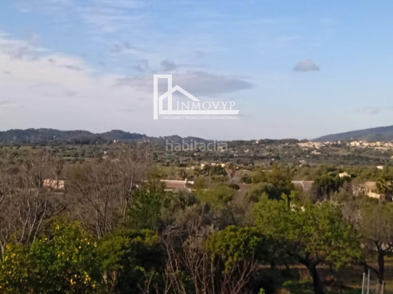 Foto 250a80ea-dac0-4bd6-aa3d-fa8b7cacc200. Casa planta baja típica mallorquina en Campanet