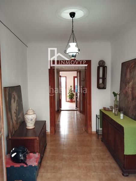 Foto 549f2453-b3a8-49d7-ac16-b4ee041680f3. Casa planta baja típica mallorquina en Campanet