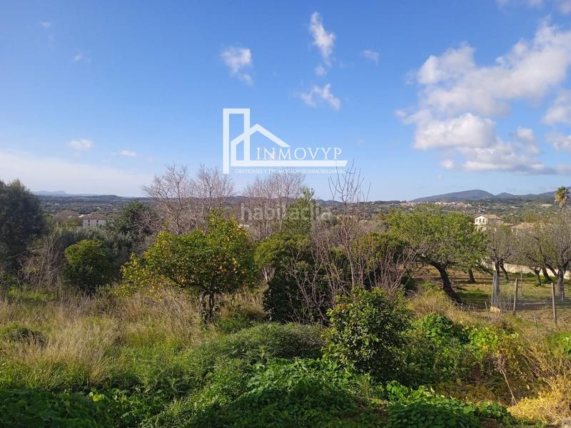 Foto 8e154342-b3d4-4fb6-8c02-9402dc465773. Casa planta baja típica mallorquina en Campanet