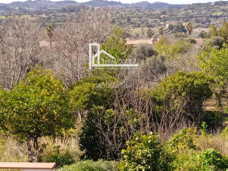 Foto a6ef9700-3d2b-470f-8e42-7ae7a1d26a18. Casa planta baja típica mallorquina en Campanet