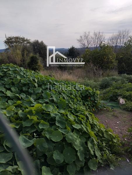 Foto c0b3bc31-d68b-47df-9608-1152dbc88bb8. Casa planta baja típica mallorquina en Campanet