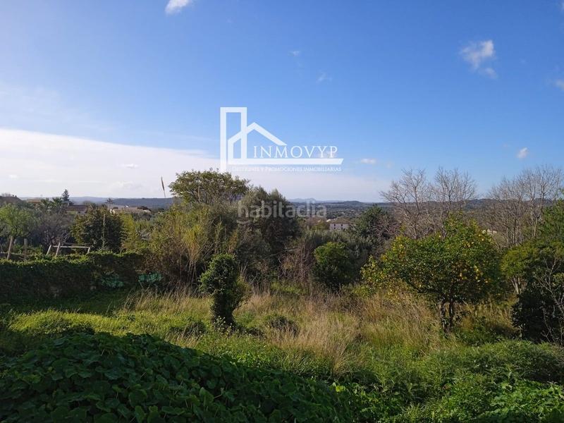 Foto dc9e2a7f-b7d2-4d23-a413-37e409392d13. Casa planta baja típica mallorquina en Campanet